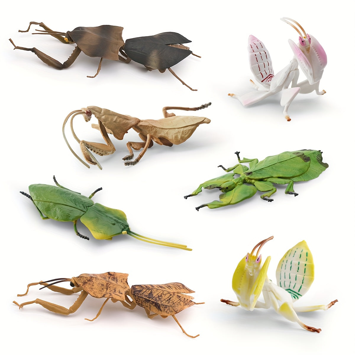 Insect Animal Models Educational Toys