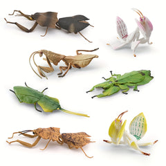 Insect Animal Models Educational Toys