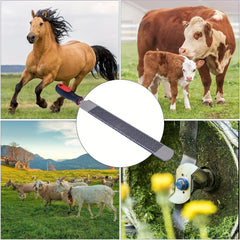 Horseshoe File Hoof Trimming and Cleaning Tool