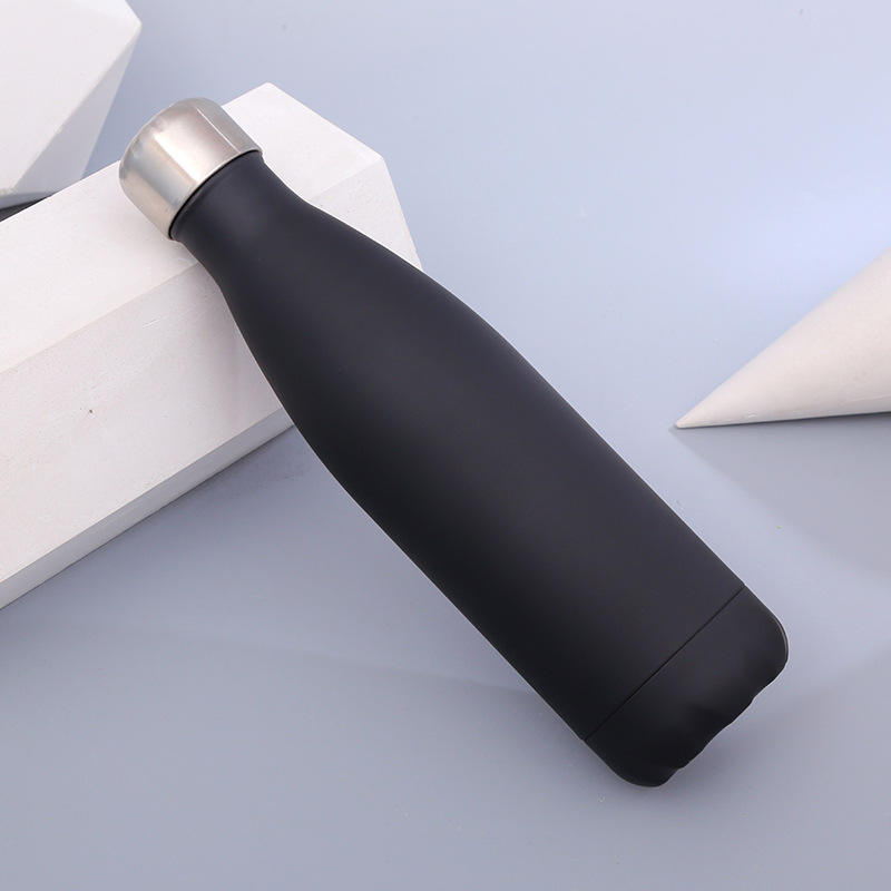 25oz Stainless Steel Insulated Water Bottle Double Wall Vacuum Leak Pro