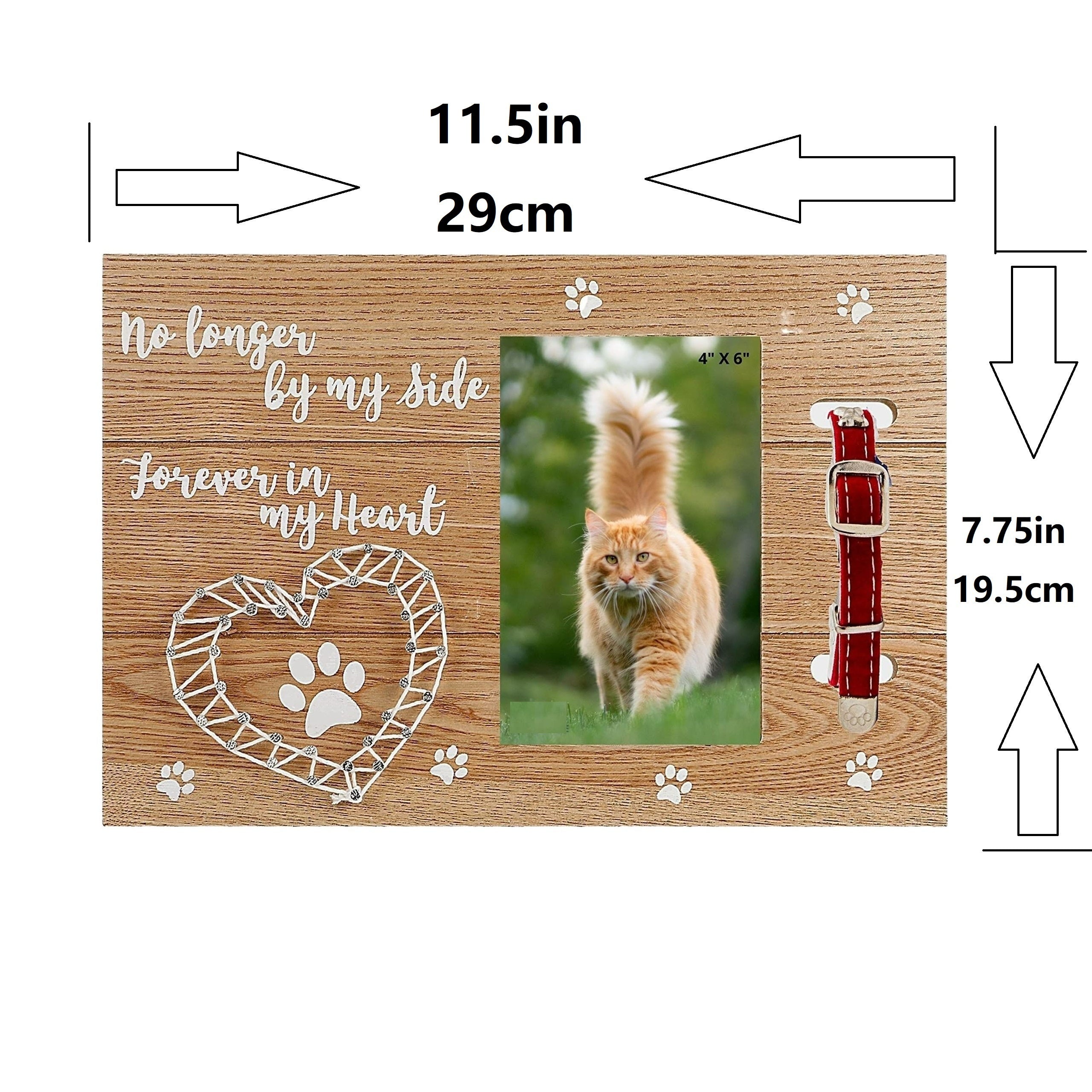 Furry Perfect Pet Memorial Frame with Collar