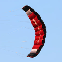 8 Meters Dual Line Sports Stunt Kite - Easy To Fly