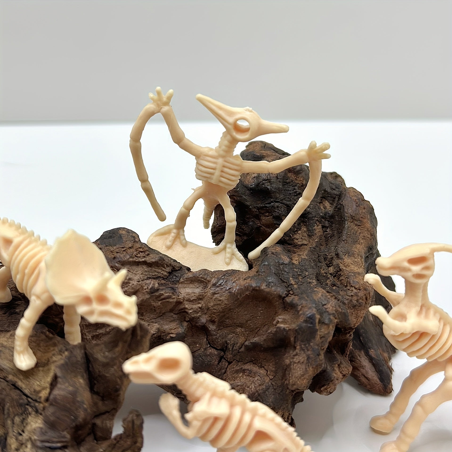 12 Dinosaur Bone Models Archaeological Excavation Set