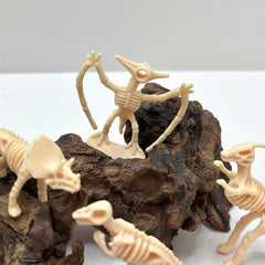 12 Dinosaur Bone Models Archaeological Excavation Set