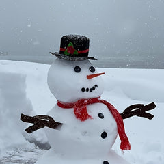 16pcs Snowman Decorating Making Kit Outdoor Christmas Party Decor