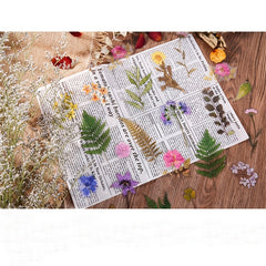 40 Sheets Wilderness From Depths Series Plant Cartoon Stickers