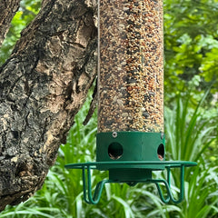 Squirrel Proof Spinning Bird Feeder