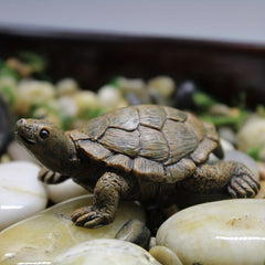 Small Turtle Ornament for Gardening Landscaping and Flower Pot Decoration