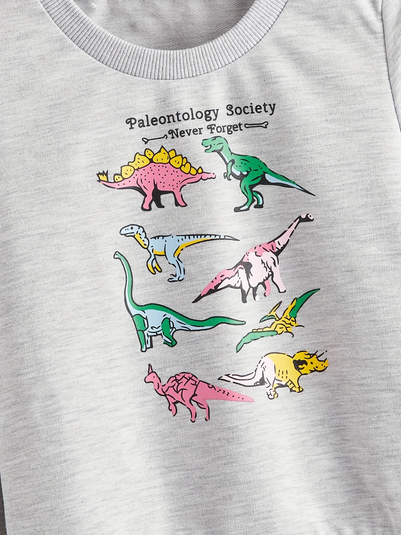 Boys Dinosaur Graphic Long Sleeve Top Kids Sweatshirt