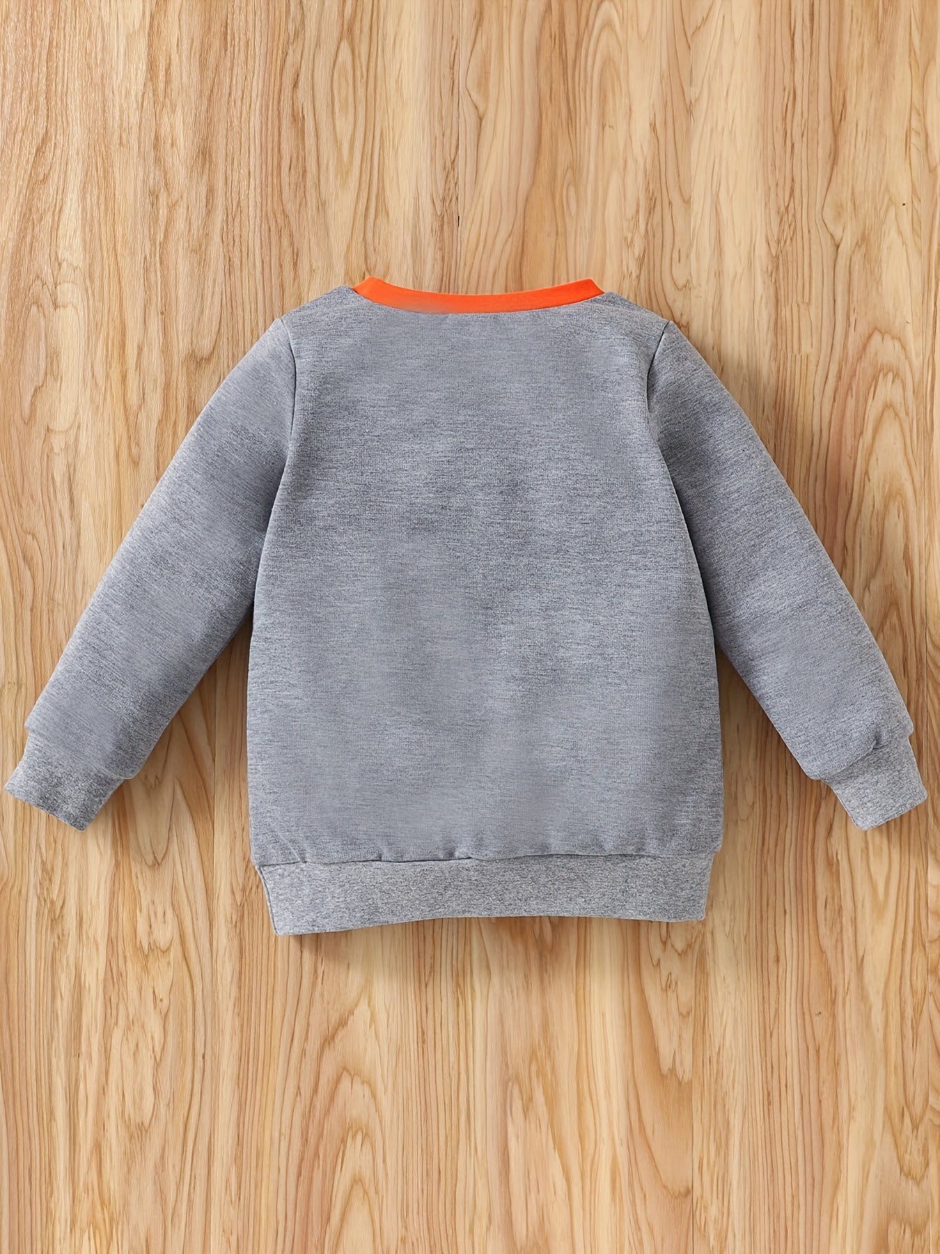 Cartoon Crocodile Print Boys Casual Pullover Sweatshirt