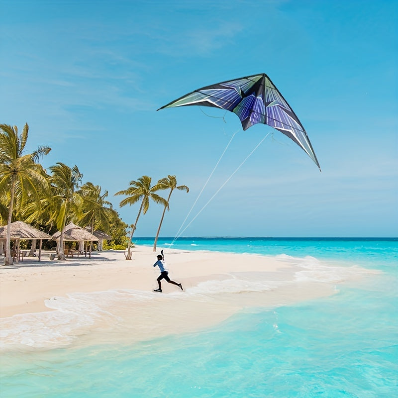 Double Line Kite for Beach Park Yard Outdoor Entertainment