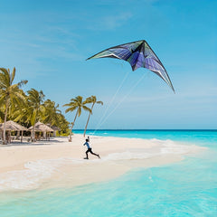 Double Line Kite for Beach Park Yard Outdoor Entertainment