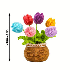 Crochet Kit For Beginners with Step by Step Video Tutorials - DIY Craft Supplies