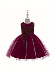 Girls Sleeveless Puffy Princess Dress Flowers Embroidery Mesh Tutu Dress
