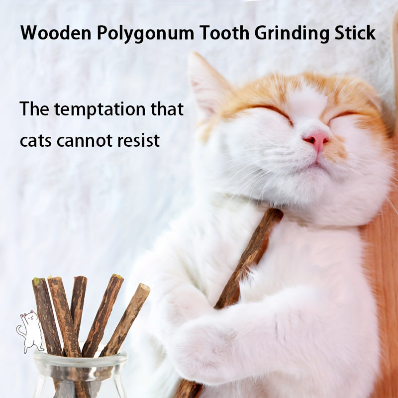 5pcs Cat Teeth Grinding Sticks Dental Care for Cats