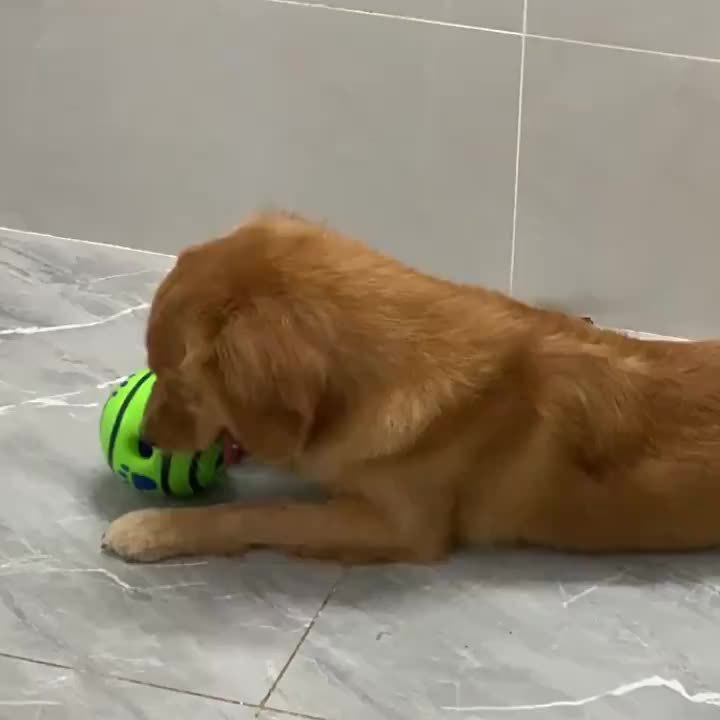 img_4680471