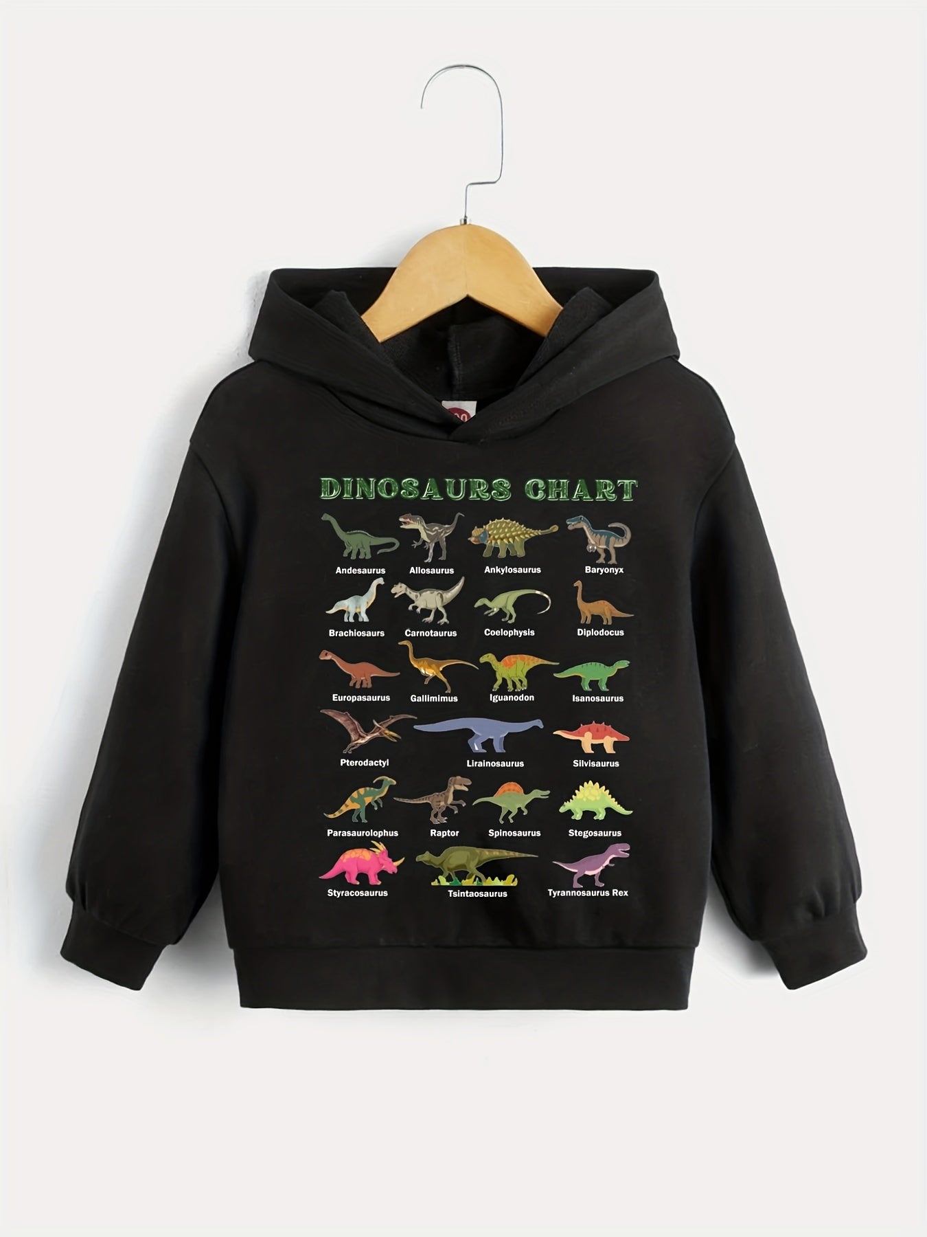 Dinosaurs Chart Boys Hooded Sweatshirt