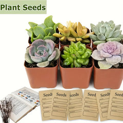 20pcs Seed Envelope Self-sealing Seed Preservation Envelope