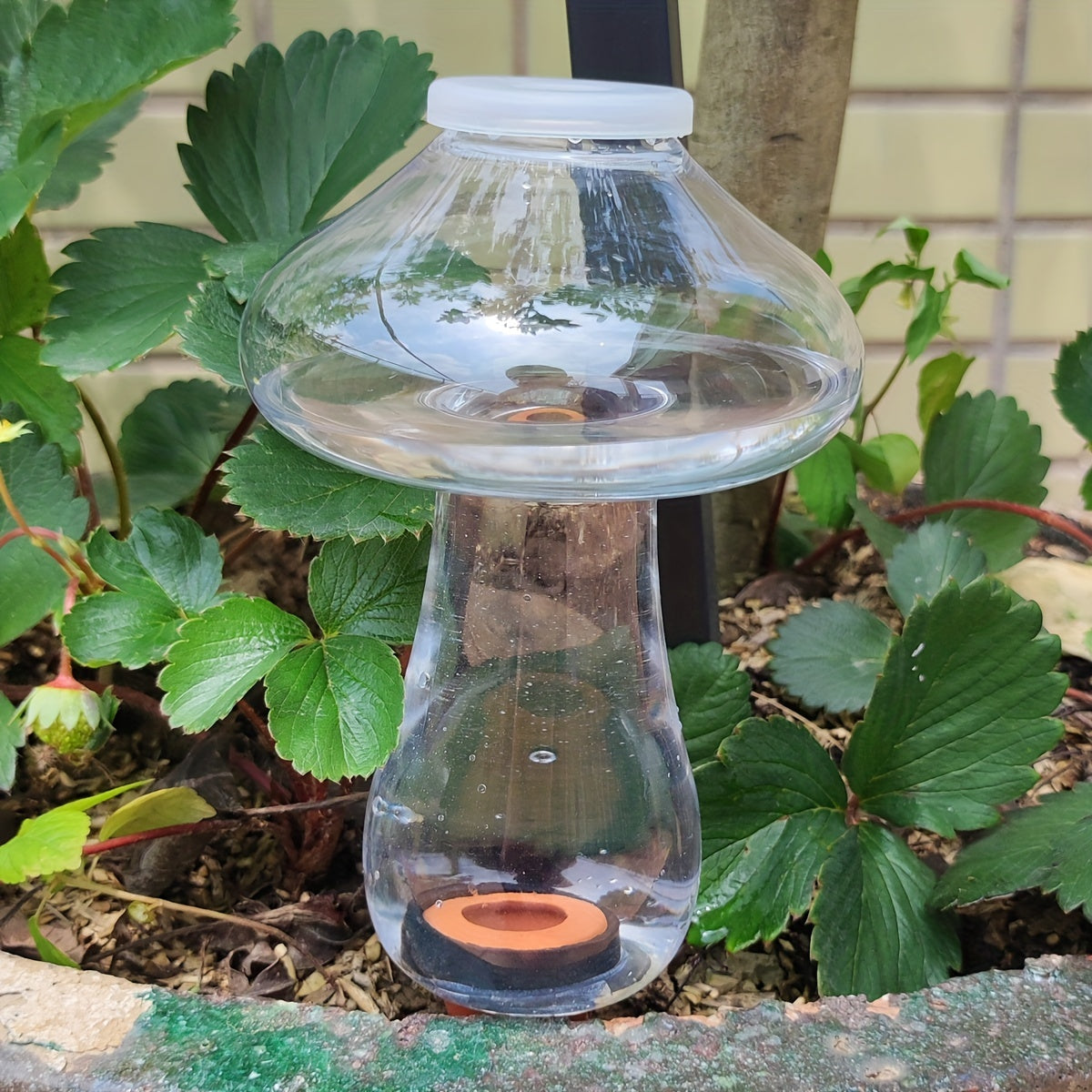 Automatic Mushroom Watering Device for Balcony Succulents
