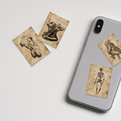 50pcs Human Skeleton Stickers Waterproof Vinyl Decals