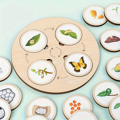 Wooden Life Cycle Board Game Kit for Ages 3 Biology Science Teaching Toy