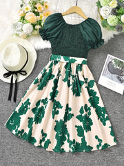 Toddler Girls Puff Sleeve Leaves Graphic Princess Dress