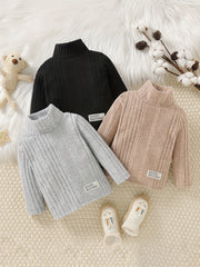 Baby Boys Striped Turtleneck T shirt 3pcs set