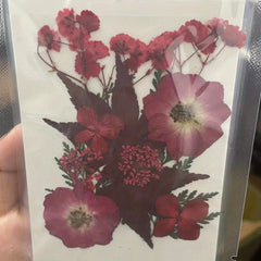 12pcs Dried Flower Gypsophila DIY Phone Nail Art
