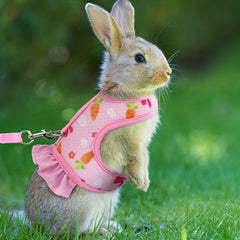 Comfortable Breathable Rabbit Harness Leash - Rabbit Vest & Breathable Leash Set
