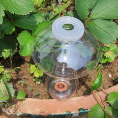Automatic Mushroom Watering Device for Balcony Succulents
