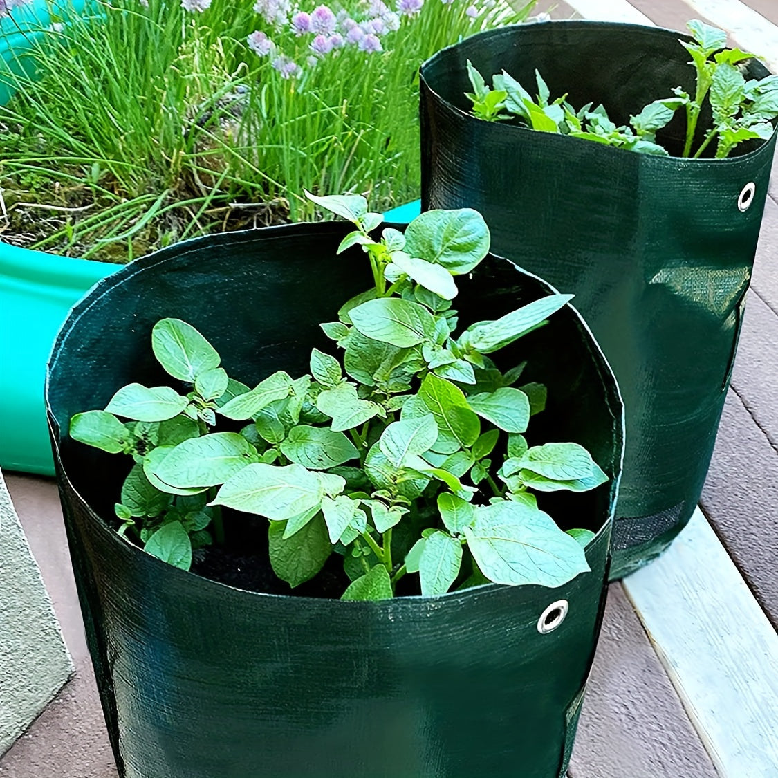Grow Potatoes Onions Tomatoes 1pc Planting Bag