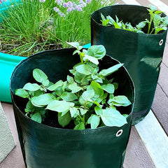 Grow Potatoes Onions Tomatoes 1pc Planting Bag