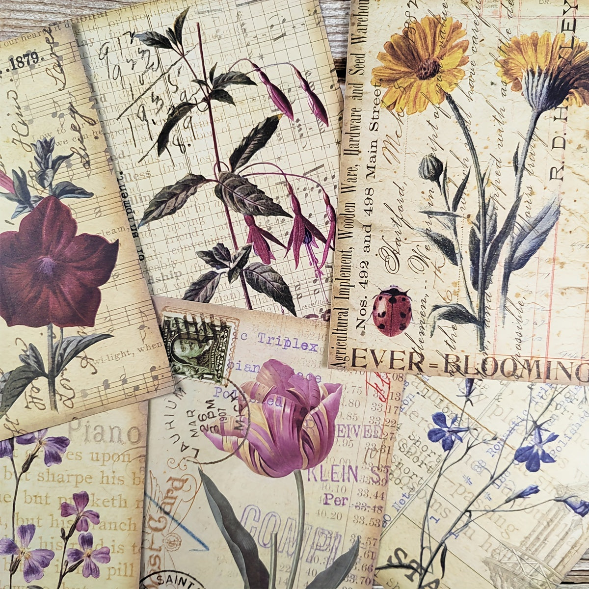 8pcs Vintage Botanical Flower Nature Scrapbook Papers DIY Crafts
