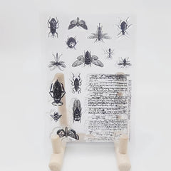 Silicone Stamp DIY For Boys And Girls