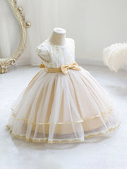Baby Girls Floral Embroidery Mesh Princess Dress Clothes