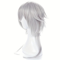 Anime Cosplay Silver Gray Men's Wig Full Head Cover