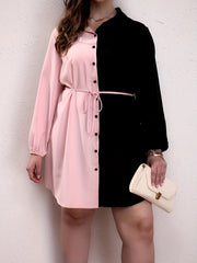 Colorblock Button Up Lantern Sleeve Casual Blouse