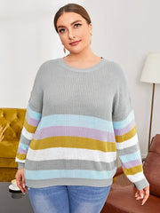 Colorblock Long Sleeve Sweater Women's Plus Casual Pullover Sweater