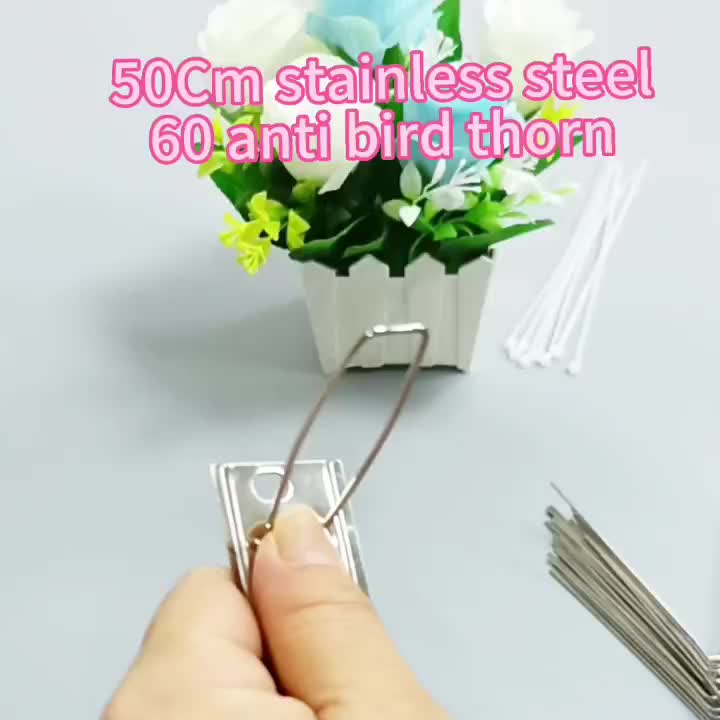 8ft Stainless Steel Pigeon Spikes for Roof Balcony Conservatory