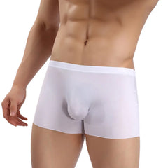 img_2639047