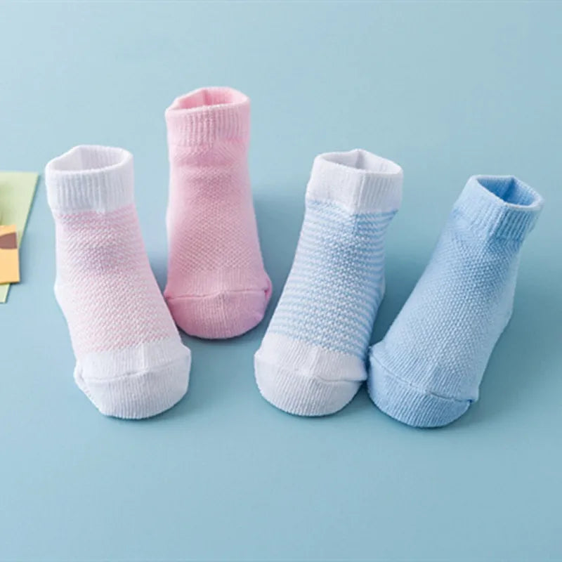 img_210843