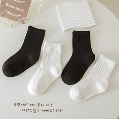 img_46399