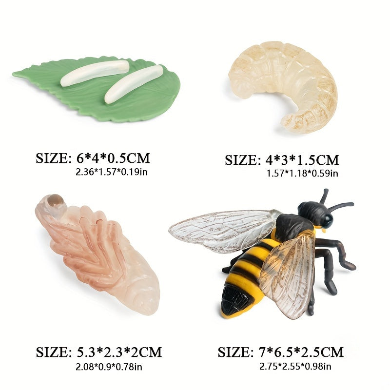 Bee Life Cycle Model Set for Kids' Science Learning