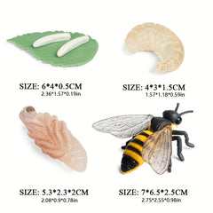 Bee Life Cycle Model Set for Kids' Science Learning