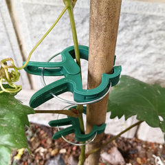 20pcs Plant Clips for Tomato Cage, 2 Sizes, Reusable Plant Supports Clips