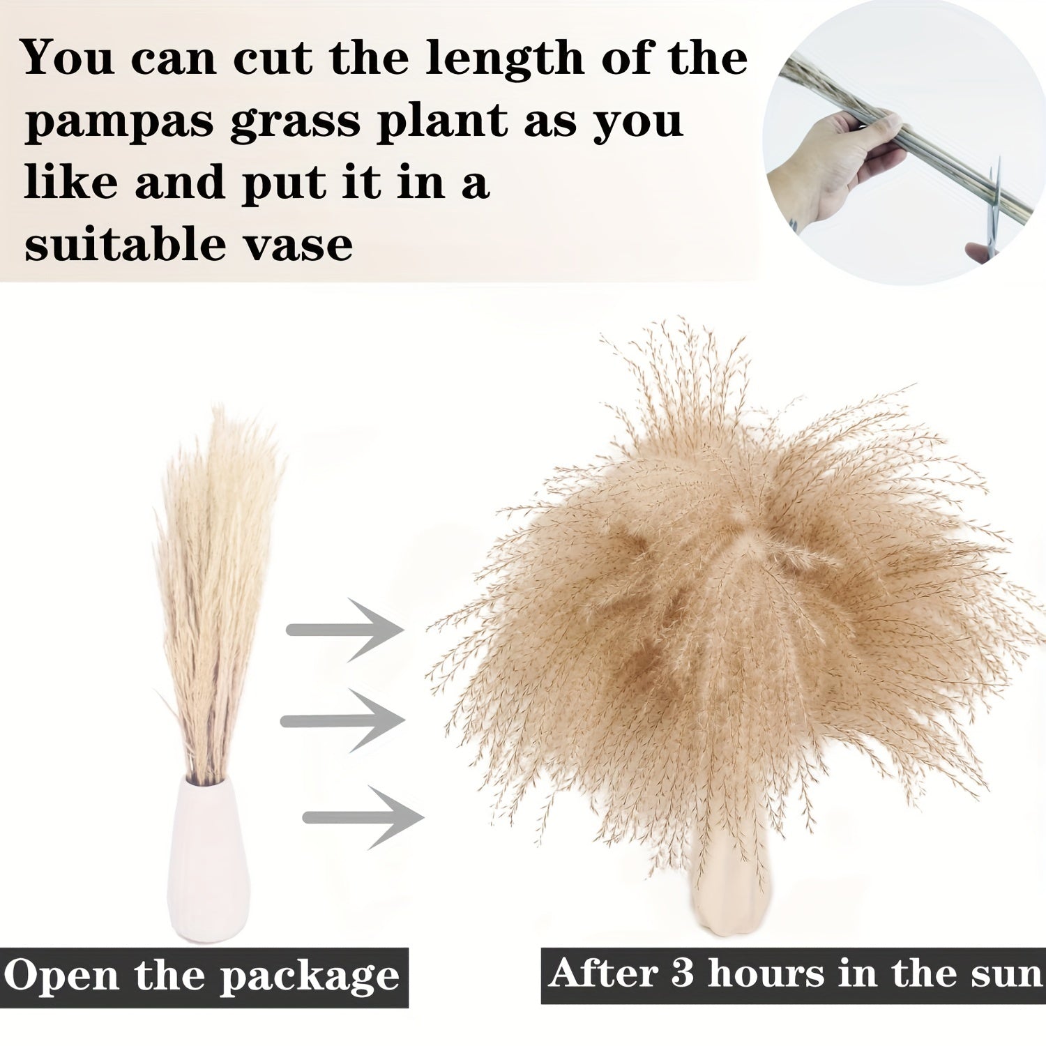 80pcs Dried Pampas Grass Decor with Bunny Tails