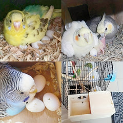 Pet Wood Box For Small Birds Nesting Bird Cage