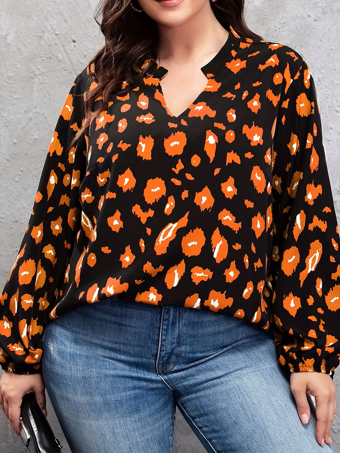 Leopard Print Long Sleeve V Neck Top
