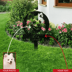 img_5224656