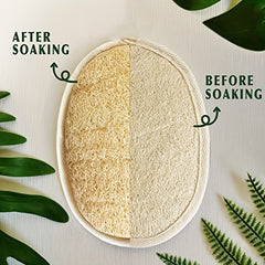 Natural Exfoliating Loofah for Men and Women